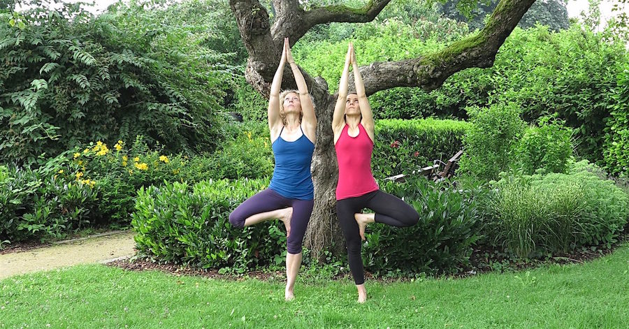 Xxl vrksasana mini
